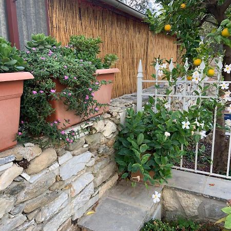 Ferienwohnung Antica Casa Nel Borgo Pietrasanta Exterior foto