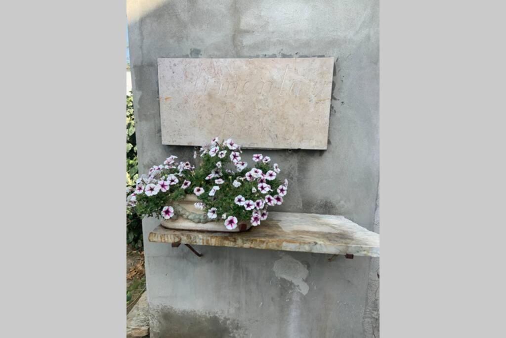 Ferienwohnung Antica Casa Nel Borgo Pietrasanta Exterior foto