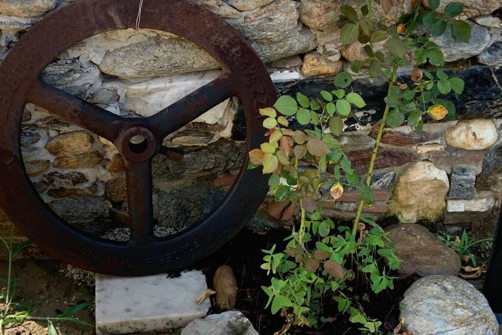 Ferienwohnung Antica Casa Nel Borgo Pietrasanta Exterior foto
